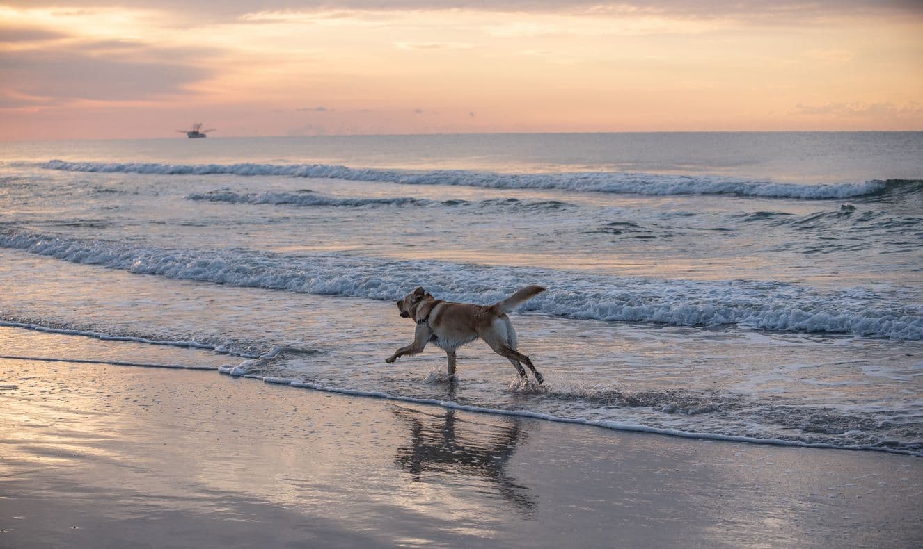 Egmond aan Zee