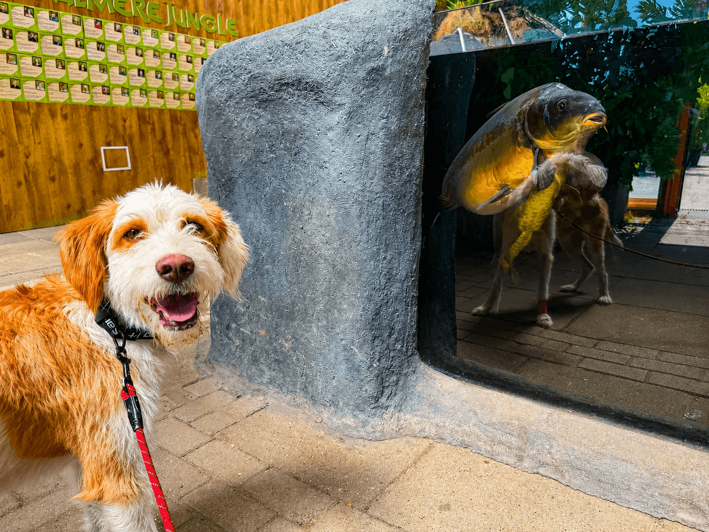 Almere Jungle: samen op jungleavontuur