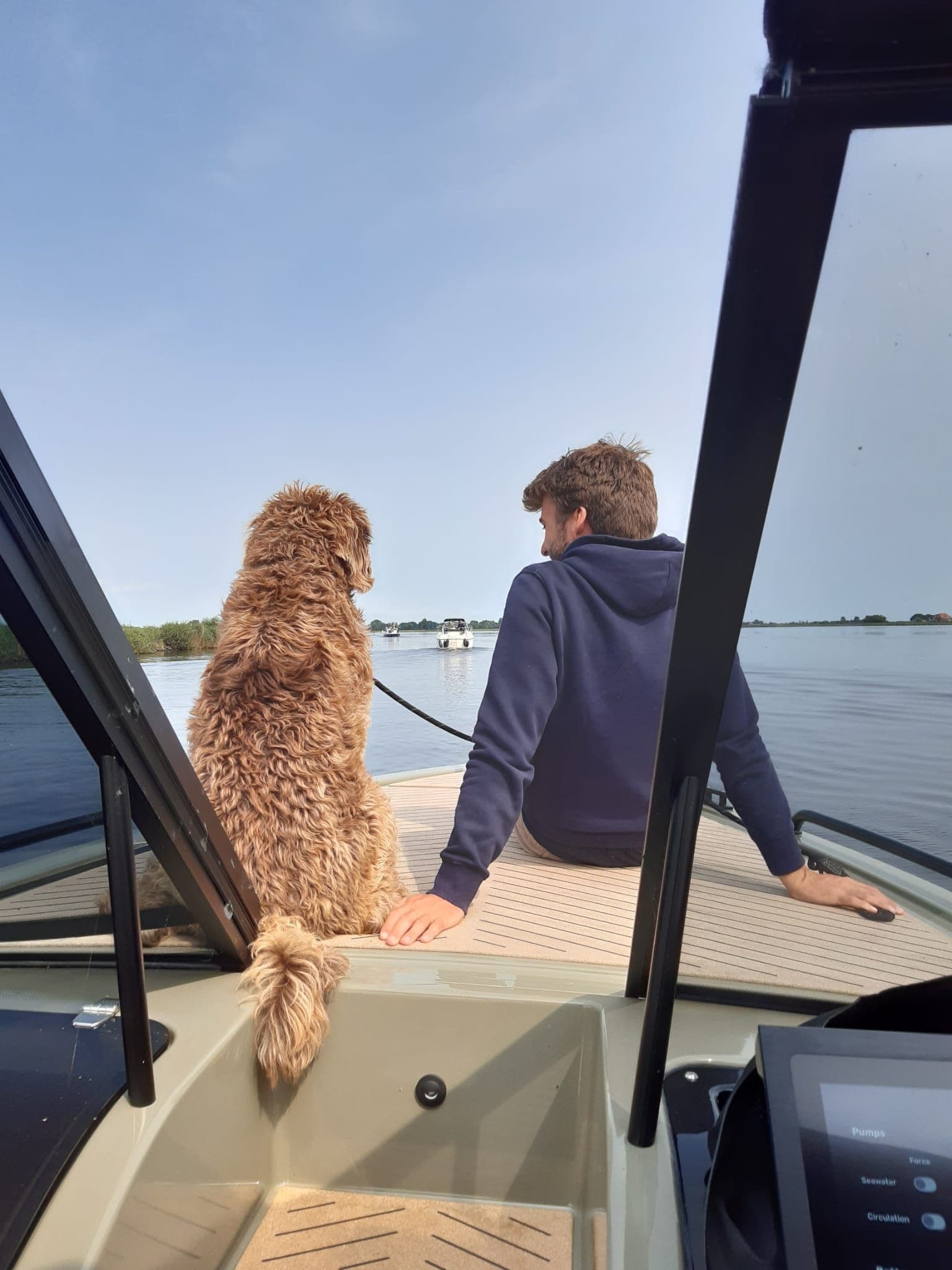 Elektrisch sloepvaren met je hond bij Natural Yachts